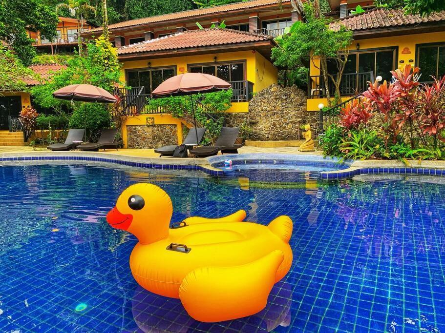 Проживание в семье Charming Pool Twin